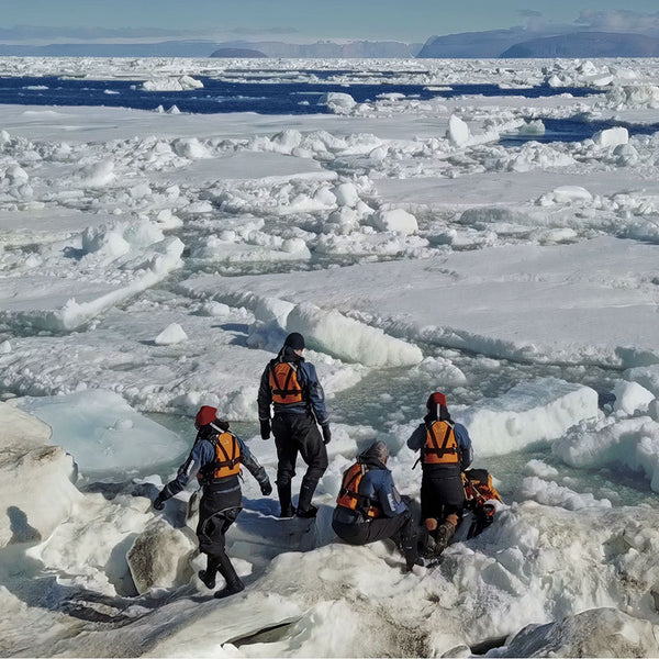Beneath the Polar Sun