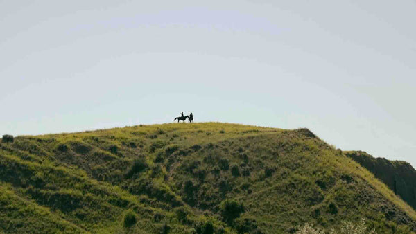 The Native American Renaissance