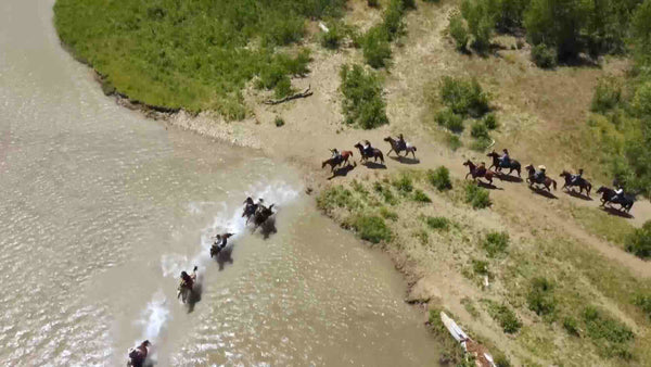 The Native American Renaissance