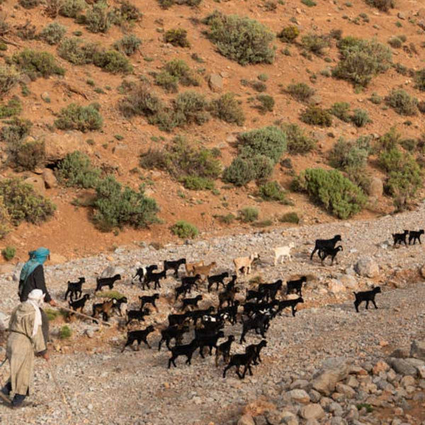 AÏT ATTA: Nomads of the High Atlas (Morocco)