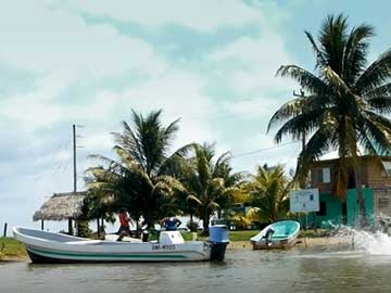 1.5 Stay Alive - Science Meets Music in the Caribbean
