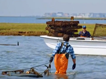 The Oyster Farmers