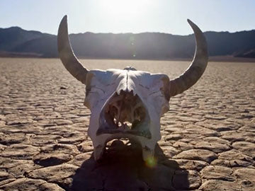 The Earth's Furies: Desertification