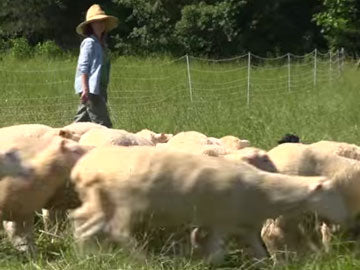 New Farms Big Success