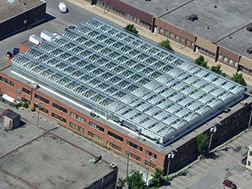 New Farms Big Success