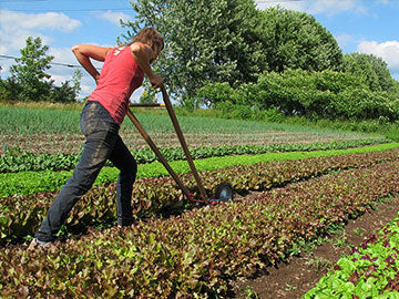 New Farms Big Success