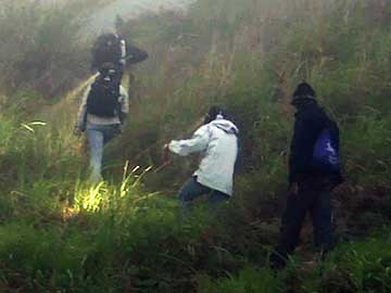 Extinction in Progress