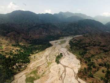 Extinction in Progress