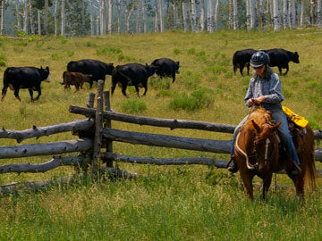 Losing the West