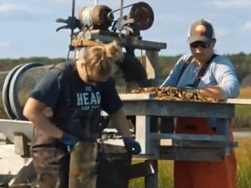 The Oyster Farmers