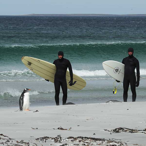 Transcending Waves - A South Atlantic Expedition