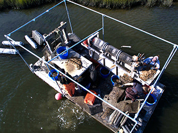 The Oyster Farmers