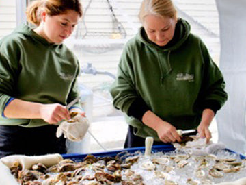 The Oyster Farmers