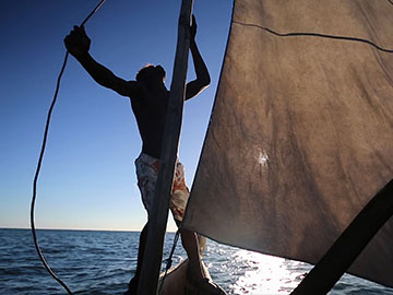 BAOBABS Between Land and Sea