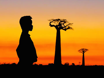 BAOBABS Between Land and Sea