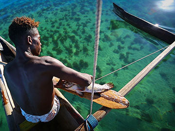 BAOBABS Between Land and Sea