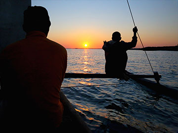 BAOBABS Between Land and Sea