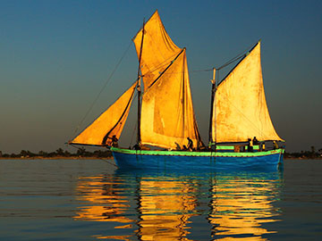 BAOBABS Between Land and Sea