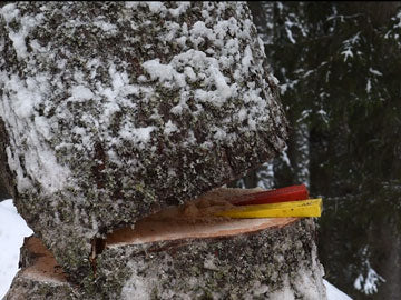 Materia Wood
