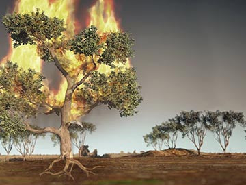 The Earth's Furies: Mega Fires