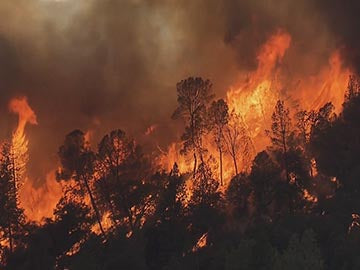 The Earth's Furies: Mega Fires