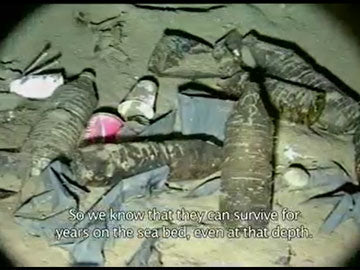 OCEANS The Mystery of the Missing Plastic