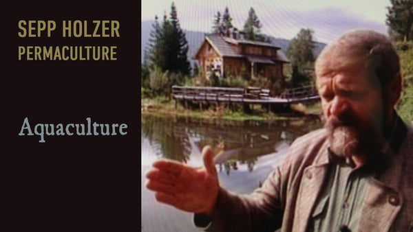 SEPP HOLZER'S PERMACULTURE: 3 Films About Permaculture Farming