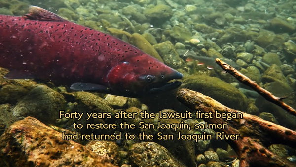 Tales of the San Joaquin River (2022)