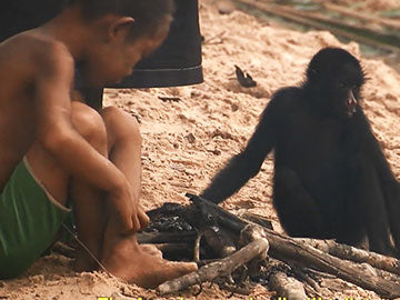 The Grammar of Happiness