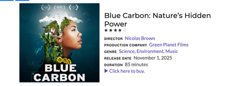 Blue Carbon Receives 4 Star Review From Video Librarian!