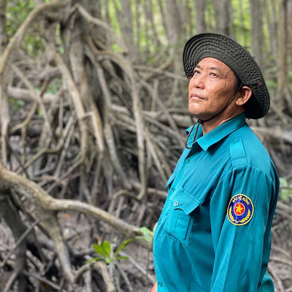 Blue Carbon: Nature's Hidden Power