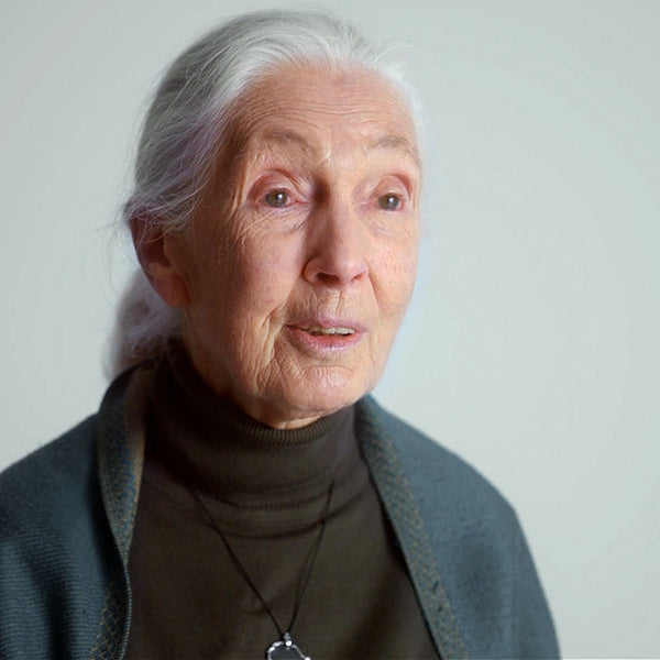 HOPE! We Are On Time - A Six-Part Docuseries