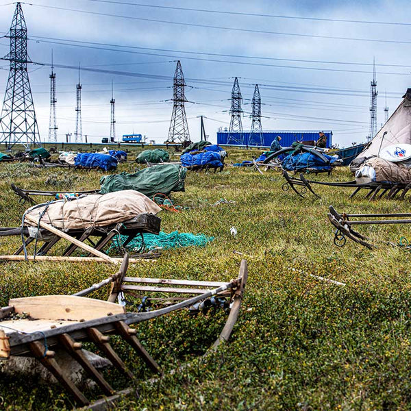 Nenets vs Gas: Siberia's Last Nomadic Herders in Jeopardy