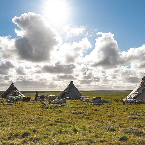 Nenets vs Gas: Siberia's Last Nomadic Herders in Jeopardy