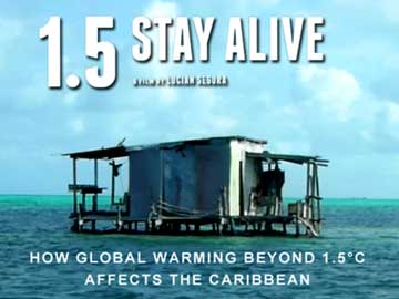 男女兼用 1.5 Caribbean the in Music Meets Science - Alive Stay その他