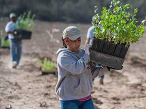 A CHANGING DELTA: Restoring the Colorado River Delta in Mexico