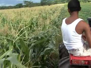 GROWING CHANGE: A Journey Inside Venezuela's Food Revolution