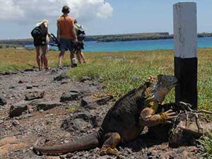 WHAT WOULD DARWIN THINK? Man vs. Nature in the Galapagos