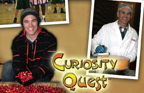 CURIOSITY QUEST: Cheeses