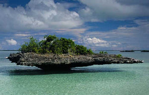 Guardians of Aldabra