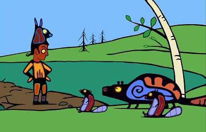 Animals
